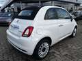 Fiat 500 C 1.0 GSE Hybrid Dolcevita Weiß - thumbnail 5