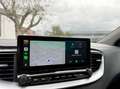 Kia Ceed SW / cee'd SW Sportswagon 1.0 T-GDi MHEV DynamicPlusLine Automaa Grau - thumbnail 12