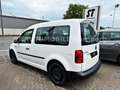 Volkswagen Caddy 1.0 TSI Kombi EcoProfi BMT*1.HD*RFK*TEMPO* Wit - thumbnail 4