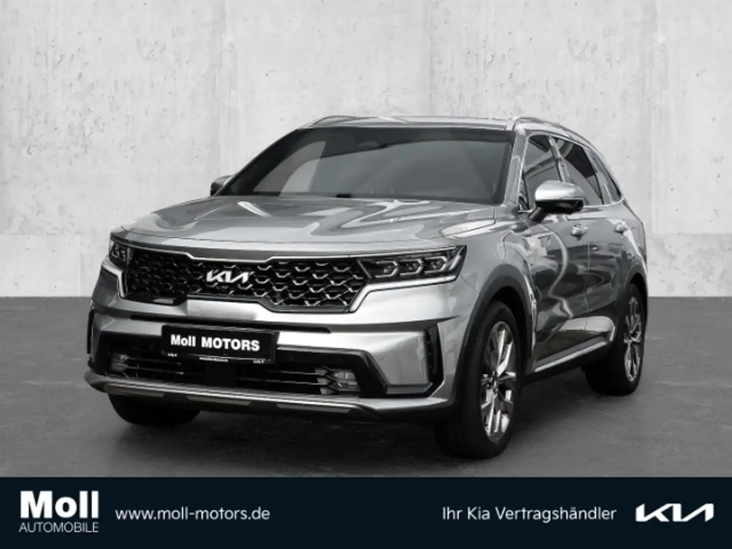 Kia Sorento Platinum 4WD 2.2 CRDi EU6d HUD Niveau Navi Leder D Gris - 1