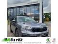 Skoda Kamiq Tour1.0 TSI 85KW 7 G DSG*ACC*AHK*RFK*LED*SPURWE* Gris - thumbnail 1