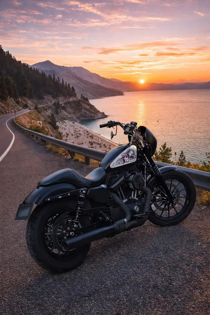 Harley-Davidson Sportster 1200 clubstyle Negro - 1