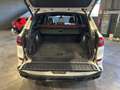 BMW X5 X5 xDrive30d Msport Bianco - thumbnail 13