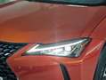Lexus UX 250h 2.0 Premium Naranja - thumbnail 29