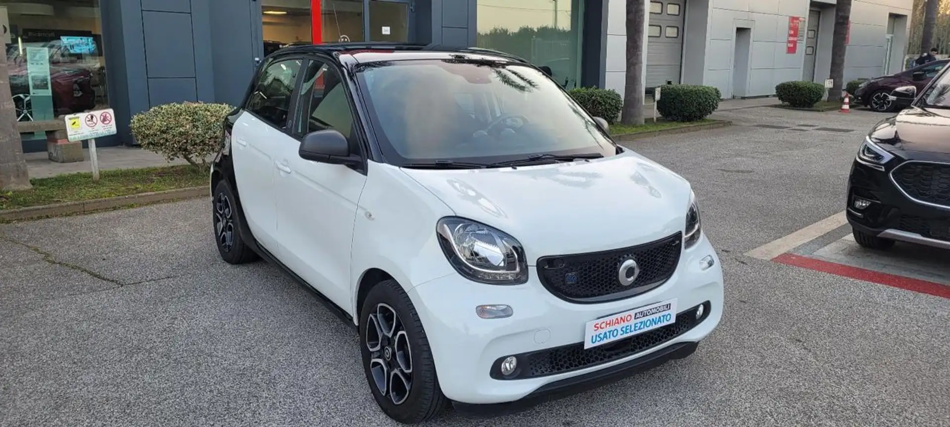 smart forFour EQ Passion Grigio - 1