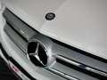 Mercedes-Benz GLK 220 CDI  4Matic *19 % MwSt.*Panorama*Bi-Xeno Biały - thumbnail 13