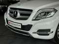 Mercedes-Benz GLK 220 CDI  4Matic *19 % MwSt.*Panorama*Bi-Xeno Beyaz - thumbnail 14