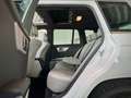 Mercedes-Benz GLK 220 CDI  4Matic *19 % MwSt.*Panorama*Bi-Xeno Blanc - thumbnail 20