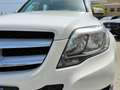 Mercedes-Benz GLK 250 - X204 - 250 cdi bt Premium 4matic auto Bianco - thumbnail 9