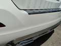 Mercedes-Benz GLK 250 - X204 - 250 cdi bt Premium 4matic auto Bianco - thumbnail 6