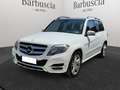 Mercedes-Benz GLK 250 - X204 - 250 cdi bt Premium 4matic auto Bianco - thumbnail 1