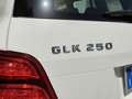 Mercedes-Benz GLK 250 - X204 - 250 cdi bt Premium 4matic auto Bianco - thumbnail 5