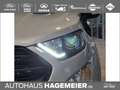 Ford EcoSport ST-Line 1.0 Ecoboost Silber - thumbnail 14