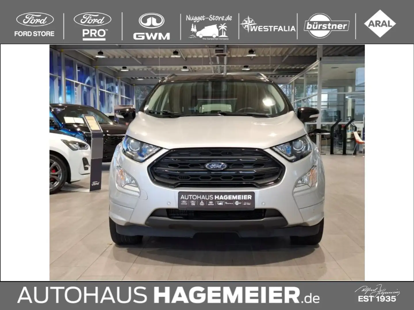 Ford EcoSport ST-Line 1.0 Ecoboost Silber - 2