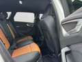 Audi A5 TDI Q S LINE UPE86 LM19 LEDER OLED BuO Weiß - thumbnail 6