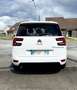 Citroen C4 SpaceTourer 1.5 BlueHDi 130CV BVA8 Business+ 7 PLACES Alb - thumbnail 8