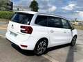 Citroen C4 SpaceTourer 1.5 BlueHDi 130CV BVA8 Business+ 7 PLACES Alb - thumbnail 3