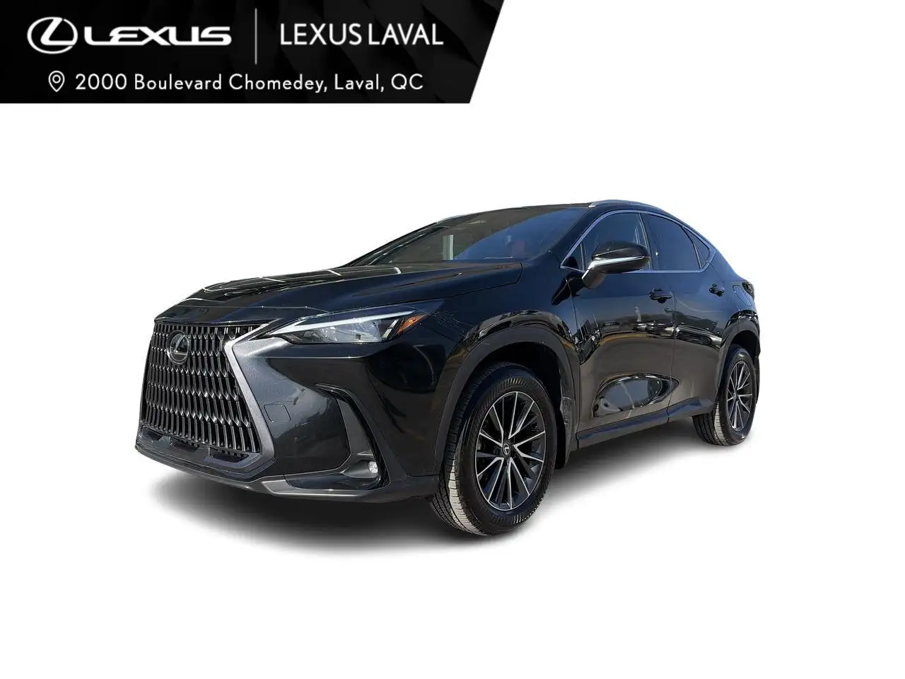 2025 Lexus NX