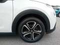 Citroen C3 1.2 puretech Feel s&s 83cv neopatentati my20 Wit - thumbnail 5