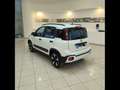 Fiat Panda 1.0 firefly hybrid Cross s&s 70cv 5p.ti Bianco - thumbnail 4