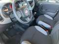 Fiat Panda 1.0 GSE City Plus Noir - thumbnail 12