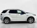 Land Rover Discovery Sport 2.0 TD4 163 CV AWD Auto R-Dynamic S Blanc - thumbnail 6