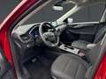Ford Kuga 2.5 Duratec PHEV TITANIUM Rot - thumbnail 12