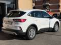 Ford Kuga 2.0 Hybrid 150 CV 2WD Titanium (NESSUN VINCOLO) Bianco - thumbnail 6