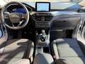 Ford Kuga 2.0 Hybrid 150 CV 2WD Titanium (NESSUN VINCOLO) Bianco - thumbnail 8