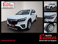 Suzuki S-Cross 1.4 DITC Hybrid shine ABS ESP Weiß - thumbnail 1