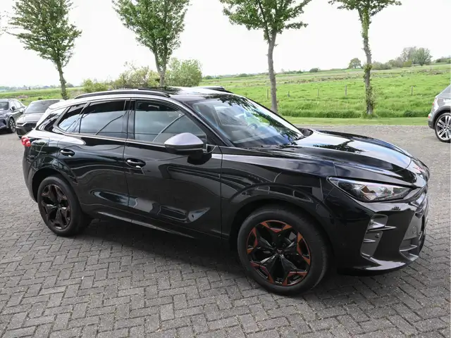 Cupra Terramar view 15
