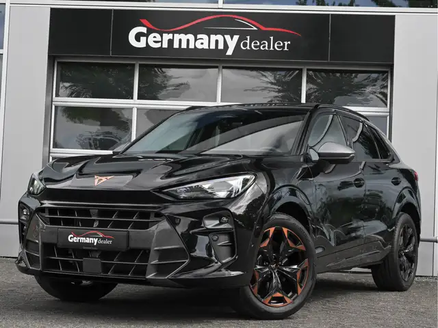 Cupra Terramar view 6