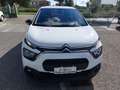 Citroen C3 BlueHDi 100 S&S Van Feel Bianco - thumbnail 3