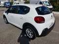 Citroen C3 BlueHDi 100 S&S Van Feel Bianco - thumbnail 5