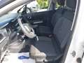 Citroen C3 BlueHDi 100 S&S Van Feel Bianco - thumbnail 14