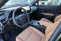 Lexus UX 300h UX 300h F SPORT Design Grün - thumbnail 12