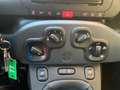 Fiat Panda 1.0 firefly hybrid s&s 70cv (PROMO) Grau - thumbnail 23