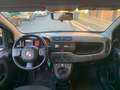 Fiat Panda 1.0 firefly hybrid s&s 70cv (PROMO) Grau - thumbnail 14