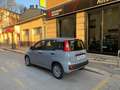Fiat Panda 1.0 firefly hybrid s&s 70cv (PROMO) Grau - thumbnail 10