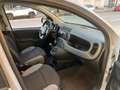 Fiat Panda 1.0 firefly hybrid s&s 70cv (PROMO) Grau - thumbnail 18
