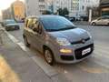 Fiat Panda 1.0 firefly hybrid s&s 70cv (PROMO) Grau - thumbnail 3