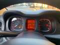 Fiat Panda 1.0 firefly hybrid s&s 70cv (PROMO) Grau - thumbnail 16