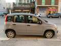 Fiat Panda 1.0 firefly hybrid s&s 70cv (PROMO) Grau - thumbnail 5