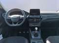 Ford Kuga ST-Line X 1.5 EcoBoost *PANO*ACC*LED*NAVI* Plateado - thumbnail 11