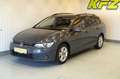 Volkswagen Golf Variant 2,0 TDI ''AHK*LED*NAVI*ST-HEIZ'' Grau - thumbnail 11