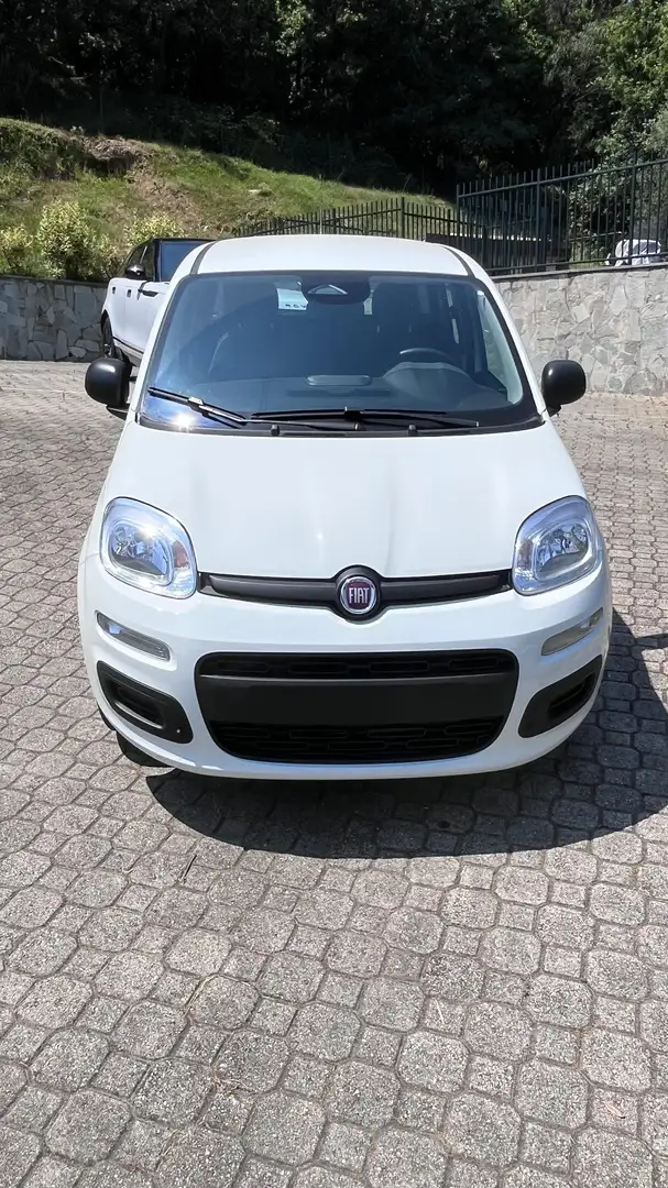 Fiat Panda 1.0 firefly hybrid s Wit - 1