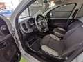 Fiat Panda Panda III 1.0 hybrid SENZA VINCOLI FINANZIARI Gris - thumbnail 6
