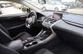 Lexus NX 300 Hybrid Argent - thumbnail 31