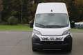 Fiat Ducato Maxi L4H3 180 Kamera Schwingsitz Tempoma... Weiß - thumbnail 4