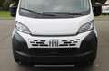 Fiat Ducato Maxi L4H3 180 Kamera Schwingsitz Tempoma... Weiß - thumbnail 5